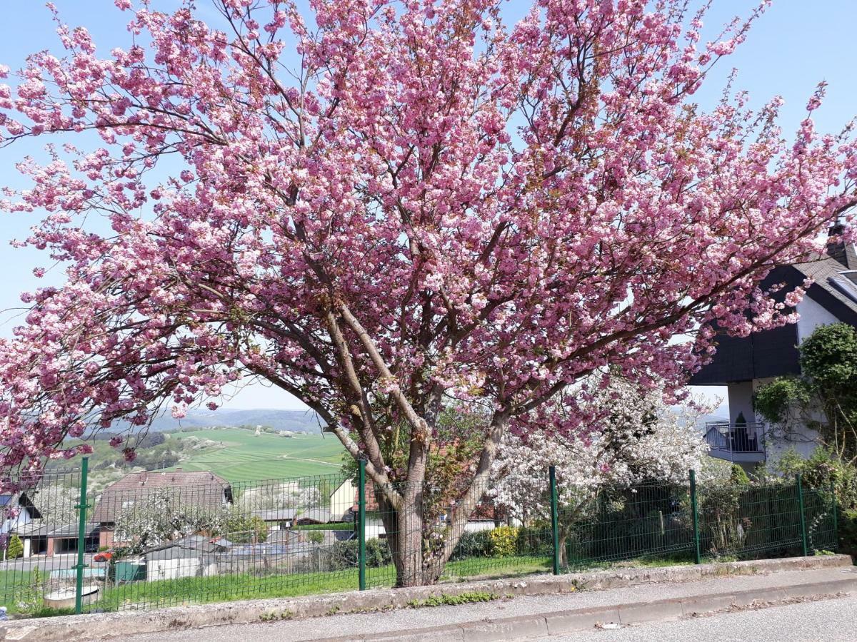Haus Der Rosen Apartamento Boppard Exterior foto